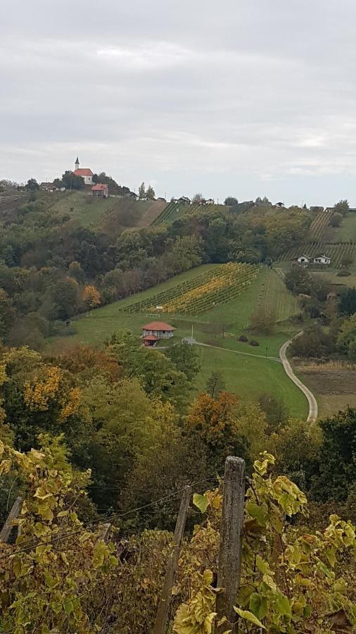 Villa Kuca Za Odmor Nina à Sveti Martin Na Muri Extérieur photo